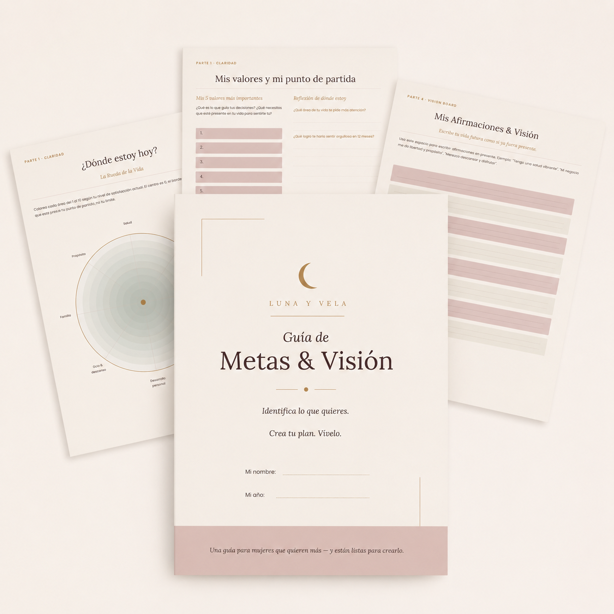 Metas & Visión