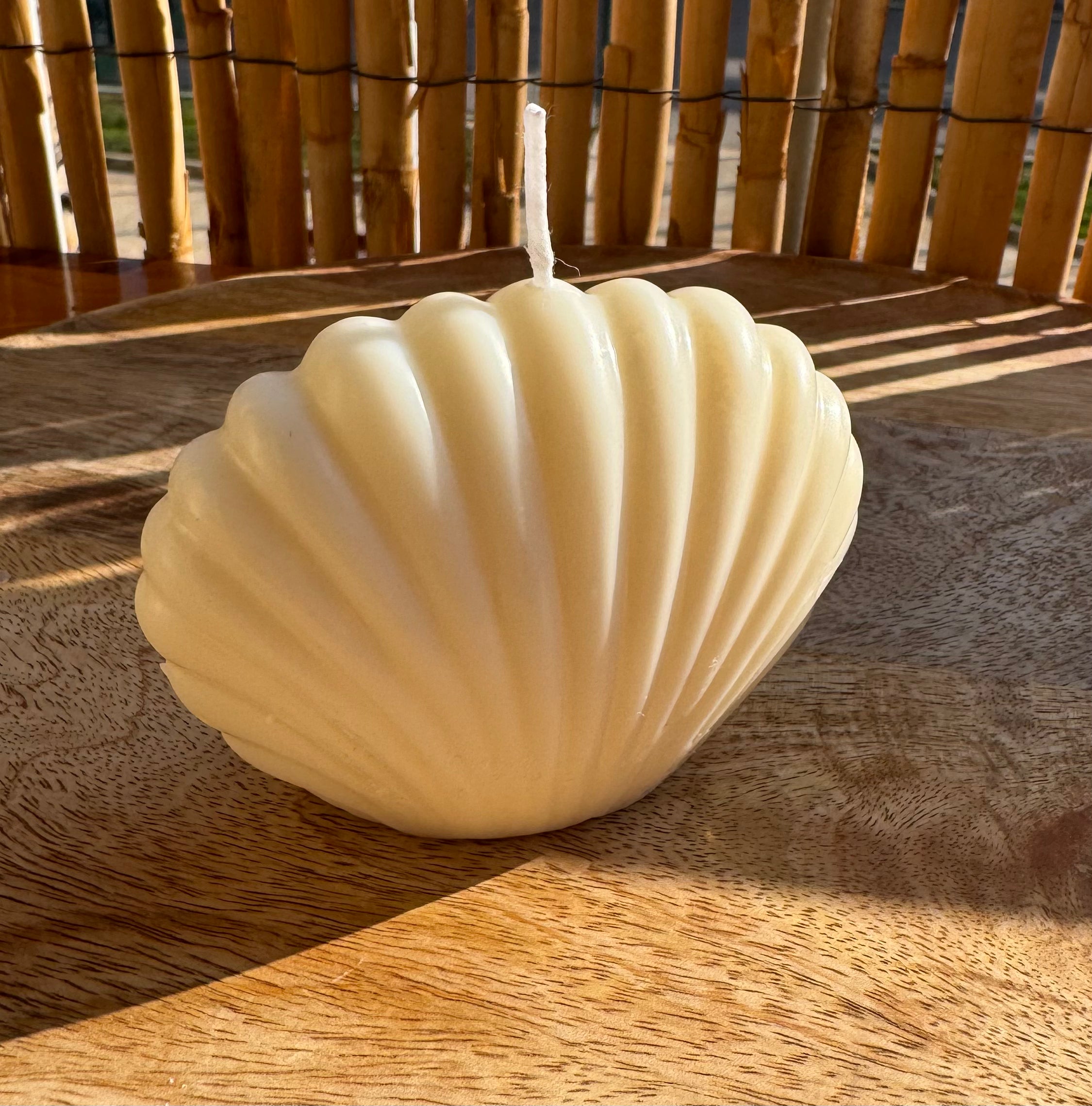 Concha de Luna